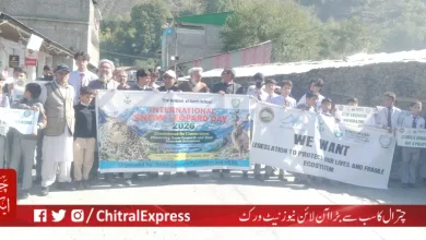 Chitral Marks World Snow Leopard Day with Awareness Walk, Calls for Conservation and Environmental Legislation