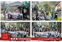 Chitral Holds Solidarity Walk on Kashmir Black Day Against Indian Atrocities in Occupied Kashmir