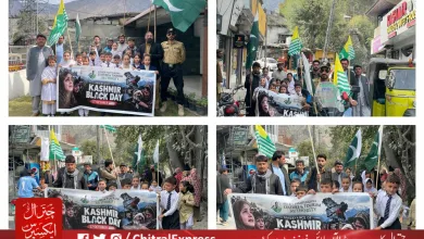 Chitral Holds Solidarity Walk on Kashmir Black Day Against Indian Atrocities in Occupied Kashmir