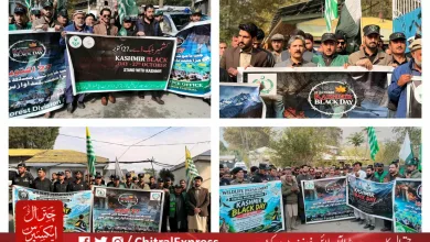 Kashmir Black Day: Rallies in Lower Chitral and Drosh, Events at Educational Institutions Express Solidarity with Kashmiris