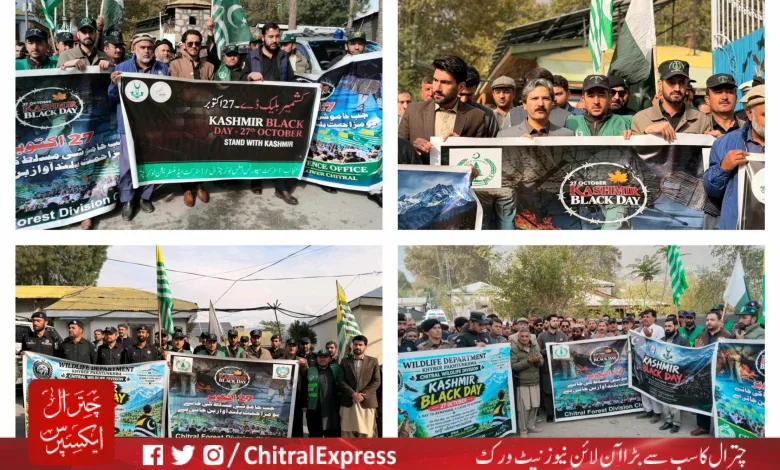 Kashmir Black Day: Rallies in Lower Chitral and Drosh, Events at Educational Institutions Express Solidarity with Kashmiris