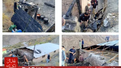Fire Destroys Cattle Sheds and Store, Damages Four Rooms in Warijun, Upper Chitral